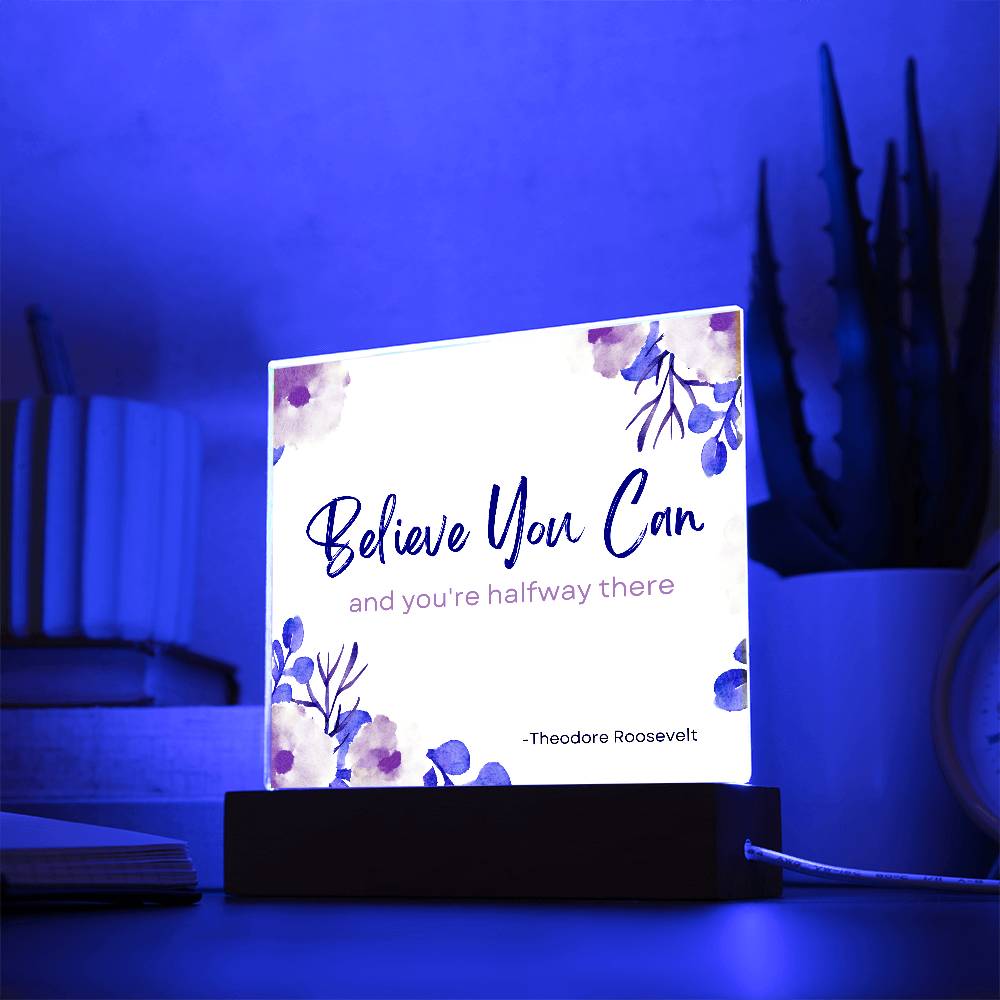 Believe You Can and You’re Halfway There Plaque – Inspirational Theodore Roosevelt Quote Sign for Office,