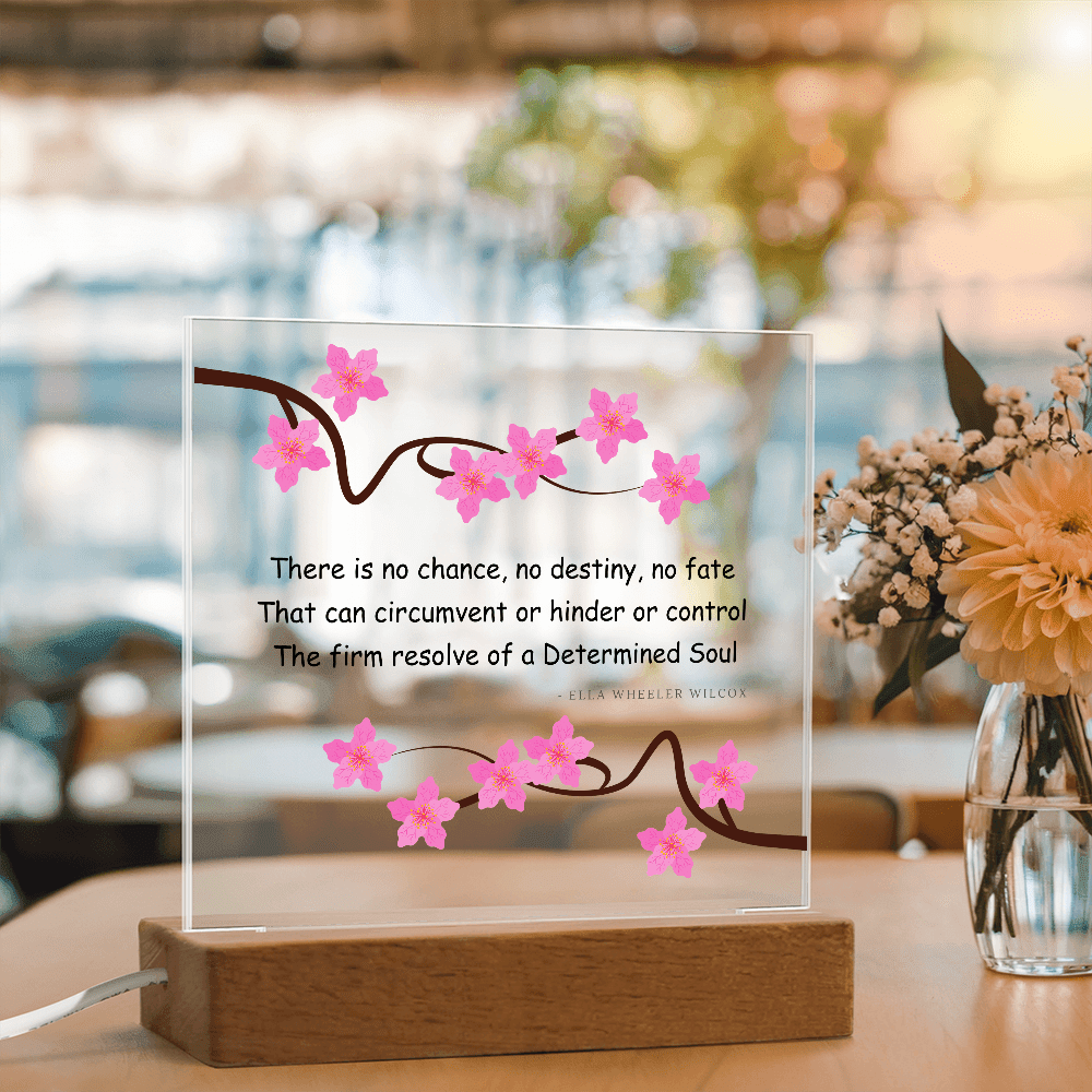Inspirational Gift for Women – “Determined Soul” LED Acrylic Plaque – Empowering Desk Decor - Absolutely Positively Me