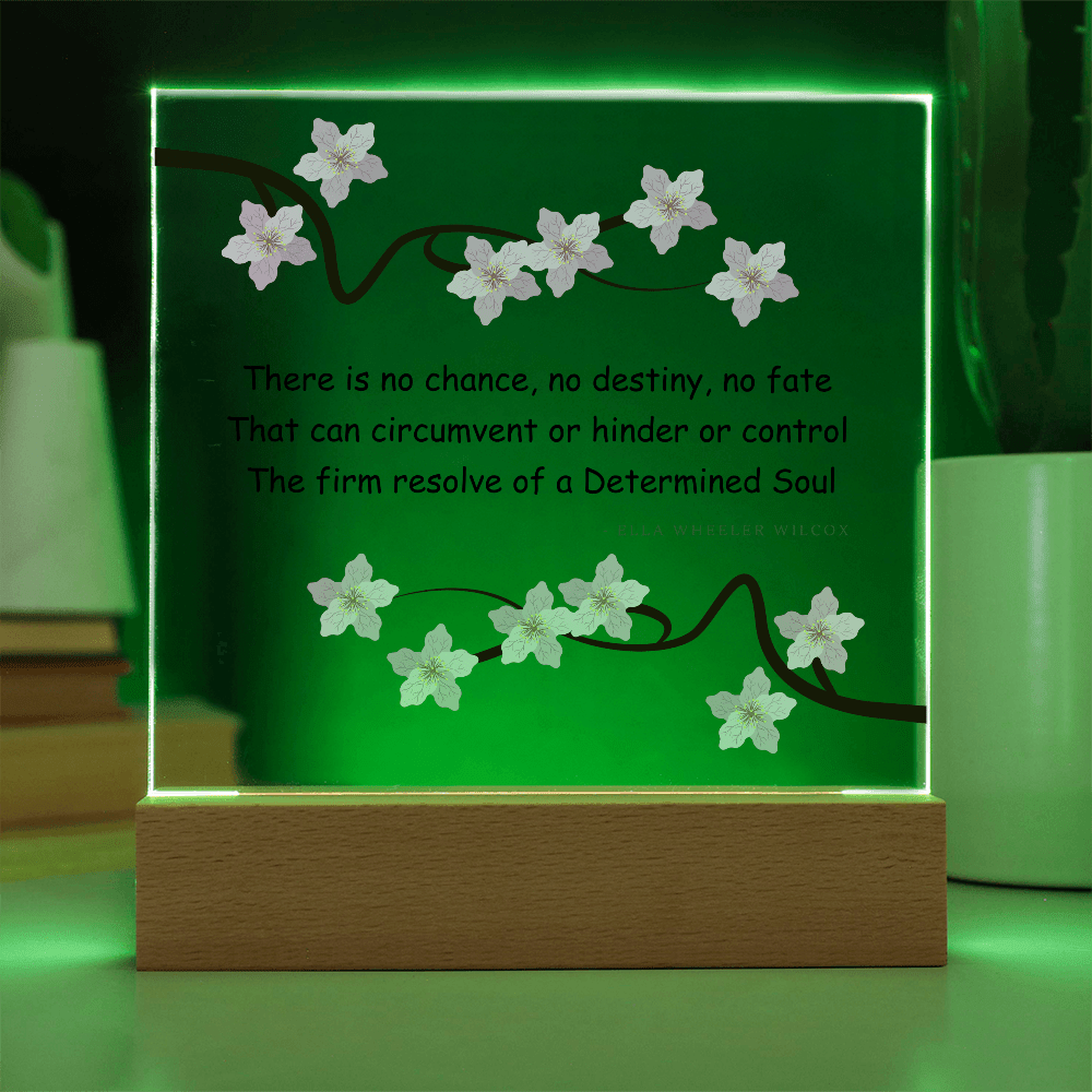 Inspirational Gift for Women – “Determined Soul” LED Acrylic Plaque – Empowering Desk Decor - Absolutely Positively Me