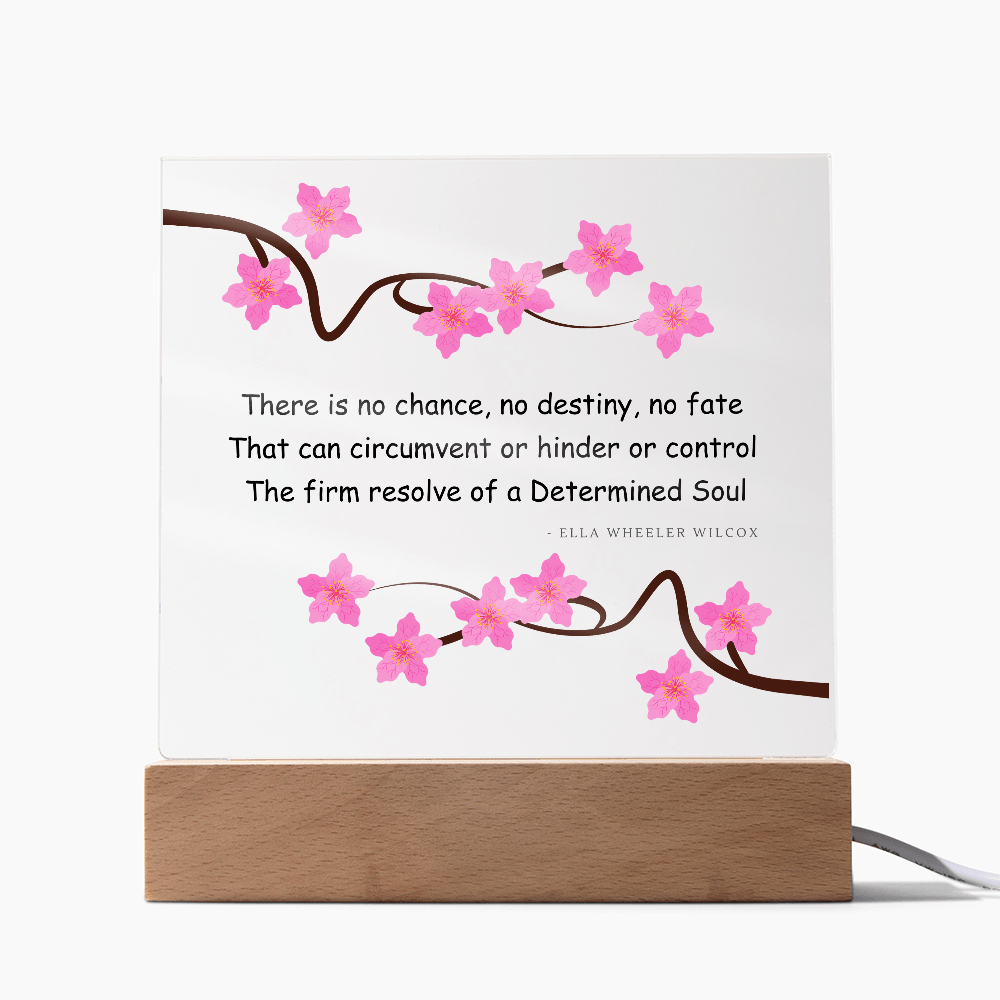 Inspirational Gift for Women – “Determined Soul” LED Acrylic Plaque – Empowering Desk Decor - Absolutely Positively Me