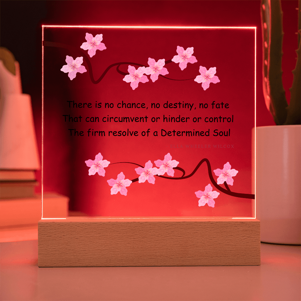 Inspirational Gift for Women – “Determined Soul” LED Acrylic Plaque – Empowering Desk Decor - Absolutely Positively Me