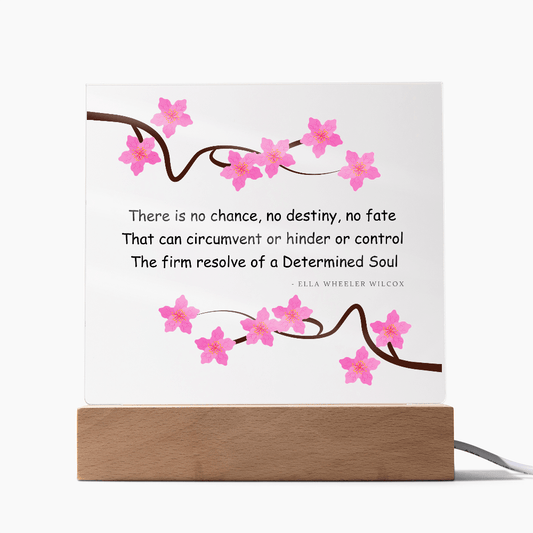 Determined Soul Acrylic Plaque