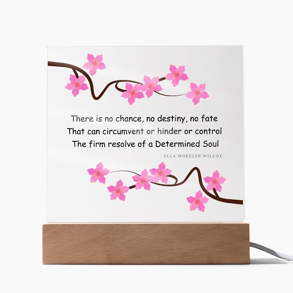 determined soul plaque