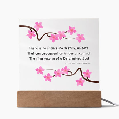 determined soul plaque