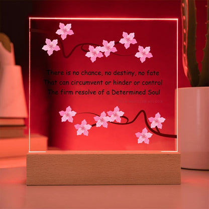 determined soul plaque red