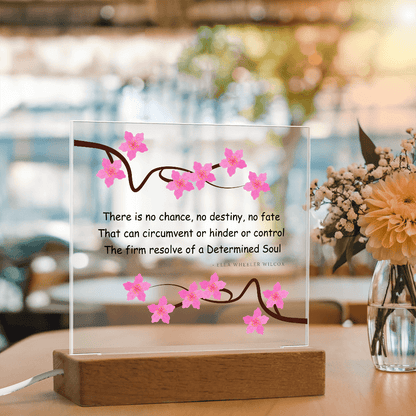 Inspirational Gift for Women – “Determined Soul” LED Acrylic Plaque – Empowering Desk Decor - Absolutely Positively Me