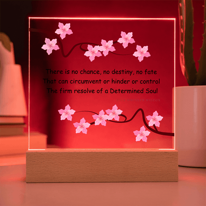 Inspirational Gift for Women – “Determined Soul” LED Acrylic Plaque – Empowering Desk Decor - Absolutely Positively Me